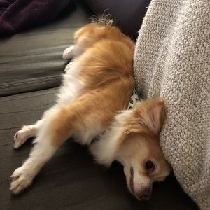 Meet your Posher, Catherine